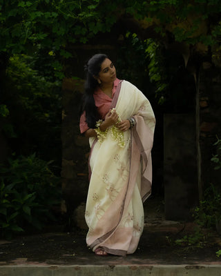 Jim Ivory Saree