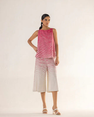 ZEBRA B-Shell CO-ORD