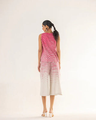 ZEBRA B-Shell CO-ORD