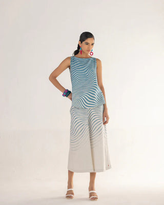 ZEBRA B-Shell CO-ORD