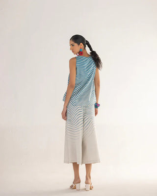 ZEBRA B-Shell CO-ORD